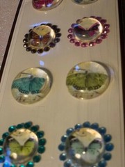 Recollections FLORAL EMBELLISHMENTS 8 PCS MULTI PICS DESIGN #2