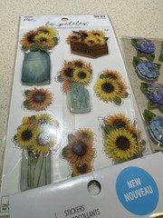 Dimensional Stickers Flowers Roses Floral The Paper Studio 8 Sheet Lot