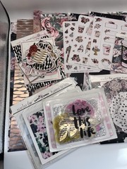 Scarlet Lime The Planner Society Chic Fashion Girl Dark Floral Mega Lot Mixed
