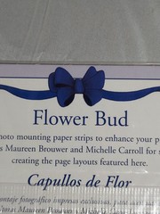 Creative Memories FLOWER BUD Printed Photo Mounting Paper Strips