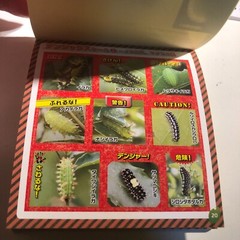 Japanese Caterpillar Stickers book 250 Stickers Shogakkan NEO