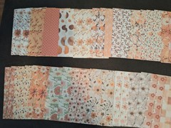 50 Sheets Scrapbooking JJ Paper Craft 5 1/2 X 3 3/4 In Ephemera Papers New
