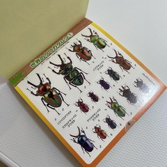 Beetle and Stag Beetle Japanese Stickers book 275 Stickers Shogakkan Neo JP