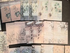 Retro Material Pack 100 Pc Scrapbooking JJ Craft Kit Supplies Plant Handwriting