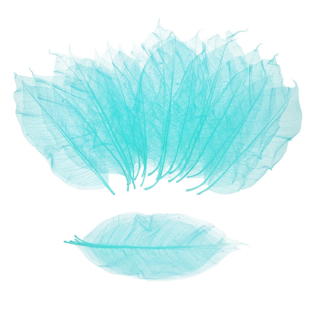 100 Pcs Skeleton Leaves for Scrapbook, 3.3-3.9 Inch, Sky Blue
