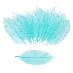 100 Pcs Skeleton Leaves for Scrapbook, 3.3-3.9 Inch, Sky Blue