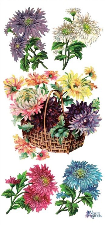 VIOLETTE STICKER – DAHLIAS – 7 3/4″ x 3 3/4″ 19.5 cm x 9.5cm