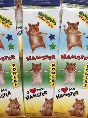 Oriental Trading 11 Sheets Hamsters Gone Wild Stickers NOS