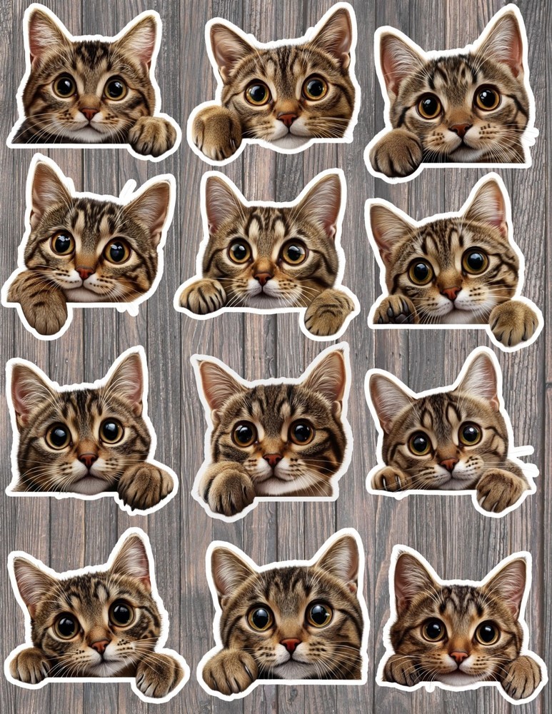 Peeking Kitten Die Cut Vinyl Stickers Set Scrapbooking Laptop Water Bottle