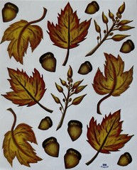 FALL LEAVES & CHESTNUT￼ Sticker(18pc)Stickabilitie•Chestnut •Autumn•Tree•Falling