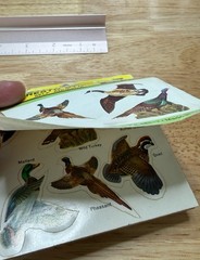 Vintage Dennison Wild Game Birds Stickers Booklet 8 Sheets Complete 48 stickers