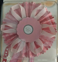 2 Bravissimo Pink Awards for Special Person/Success Making Memories #36296 36905