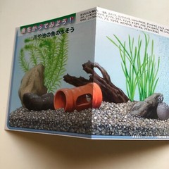 FISH Japanese Stickers book 274 stickers Shogakkan NEO Book Series