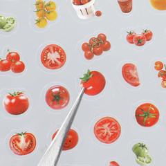 2000+ Cute Mini Sticker Pack, 36 Sheets Tiny Food & Snack Stickers,5Mm Transpare