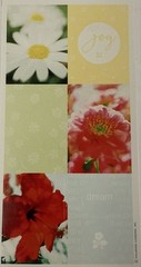 JOY FLOWER Stickers(9pc) Hallmark•Dream•Daisies•Garden •Poise•Blooms•Card Making