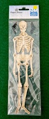 Paper House Jointed Skelton Bats Halloween 3 Pieces Scrapbooking Embellishment
