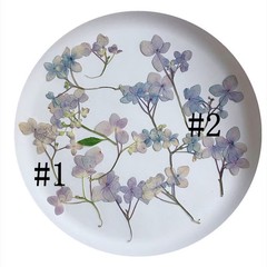 12PCS Pressed Dried Hydrangea Flower, natural pink purple, violet colors FHT32