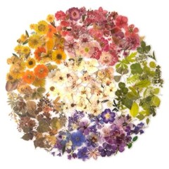 Pressed Flower Stickers Set, 270PCS Dried Flowers Waterproof Flower Language