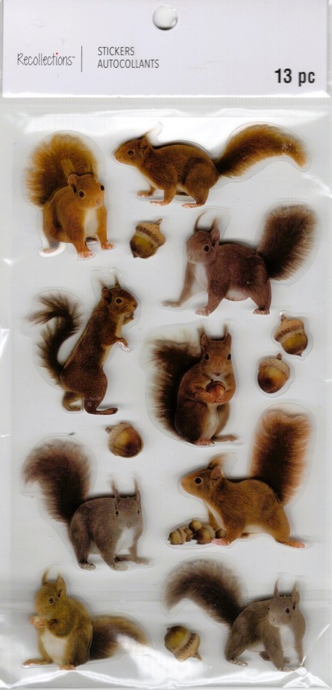Squirrels, 3D scrapbook stickers, 4×7″ – Recollections #666270