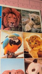 Vintage Gibson Stickers Animals Flying Polar Bear Giraffe Panda 1 Sheet READ