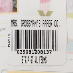 Mrs. Grossman’s Vellum Collection Green Giant Velum Ferns Stickers – 3 Sheets