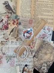 Vintage Bird Ephemera Bundle Junk Journal Kit Cottagecore Nature Scrapbook 69 Pc