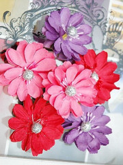 RAZZLES – PINK RED PURPLE – 2 x 3 Each Flowers PAPER 50-55mm MH ConB3