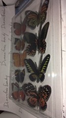 jot Butterflies Orange/Black Silver Holo 9ct BUTTERFLY Stickers w/3-D Wings BNIP