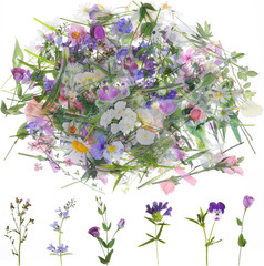 120 Pcs Transparent Flower Stickers for Scrapbooking PET Nature Plant Floral Sti