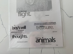 Memories Complete Transparent Frame/Accents Overlays Boy’s Will Has Taken Flight