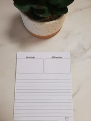 Journal Gratitude and Affirmation Sticker Sheet With Blank Lines | 5″ x 7″