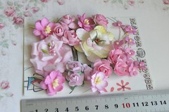 PINK & IVORY 9 Styles 25 Paper – Flowers, Roses & Blossoms 15-50mm VD2