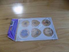 Vintage Real Pressed Flower Sticker secure stationery & envelopes stickers