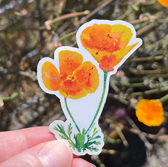 Lot of 5 Weatherproof Vinyl Stickers: Splatter Paint California Poppies