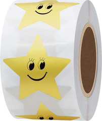 Gold Star Stickers for Kids Reward Metallic Foil Star Labels 1.5 Inch 500 Total