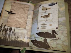 Pond Life Junk Journal Scrapbook USA Seller