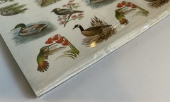 Vintage 120 BIRD STICKERS Eureka Sealed