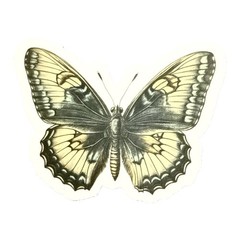 Vintage Butterfly Themed Waterproof Stickers Lot of 13