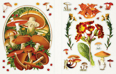 Woodland Vintage Sticker Book With 1000+ Stickers For Journaling Scrapbooking