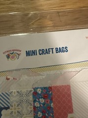 Websters Pages Scrapbook & Junk Journal Lot Mini Craft Bags, Folders & Cards NIP