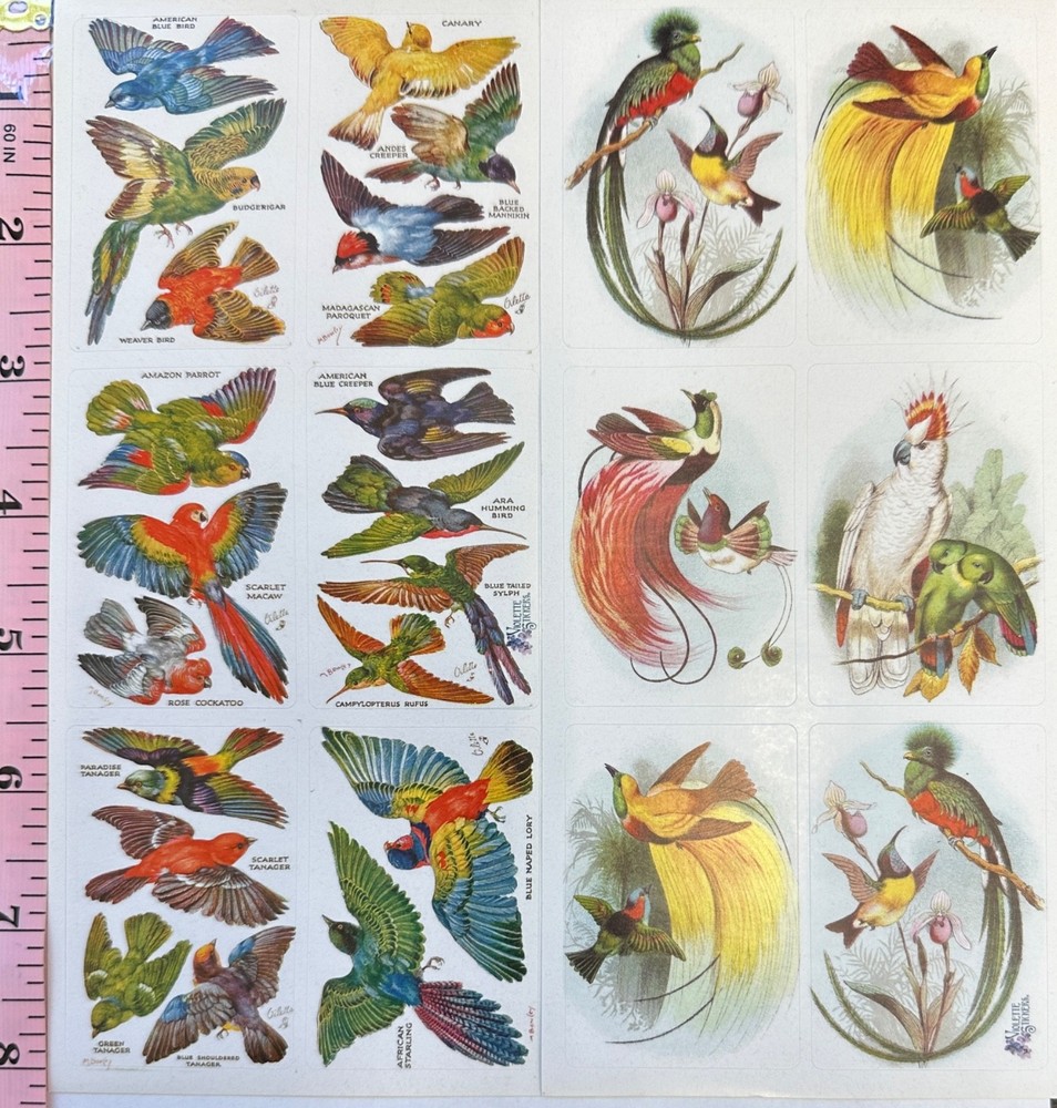 2 Sheets Violette Stickers Exotic Realistic Birds Crafts Planner Supply