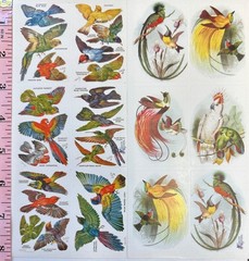2 Sheets Violette Stickers Exotic Realistic Birds Crafts Planner Supply