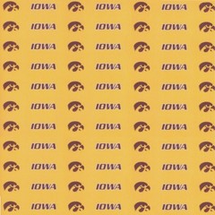 University of Iowa Hawkeyes NCAA Scrapbook Kit Paper Stickers PICK FROM 5 ITEMS