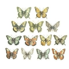 Vintage Butterfly Themed Waterproof Stickers Lot of 13