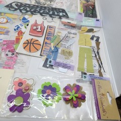Lot Of Assorted Scrapbook Crafts Embellishments Stickers Family School Sports
