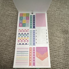 The Happy Planner Neon Lights Sticker Pack, 922 Pieces, Multicolor Planner
