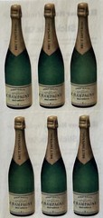 CHAMPAGNE BOTTLE Sticky Pix Stickers(6pc)Paper House•Party •Celebrate•Adults•