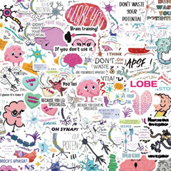 Neuroscience Pun Stickers,Funny Neuroscience Stickers,Water Bottle Scrapbooking