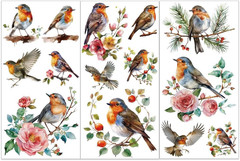 3pcs/Set Bird Rub on Transfers for Furniture and Crafts 6×12 inch Robin Decor Tr