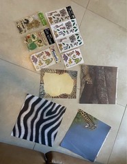 Zoo Scrapbook Paper And Stickers
